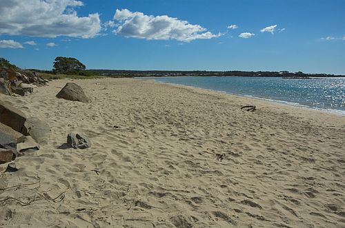 Shearwater, Tasmania